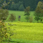 Auf der Hochebene